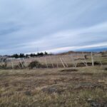 TERRENOS URBANOS Y RURALES SECTOR SUR